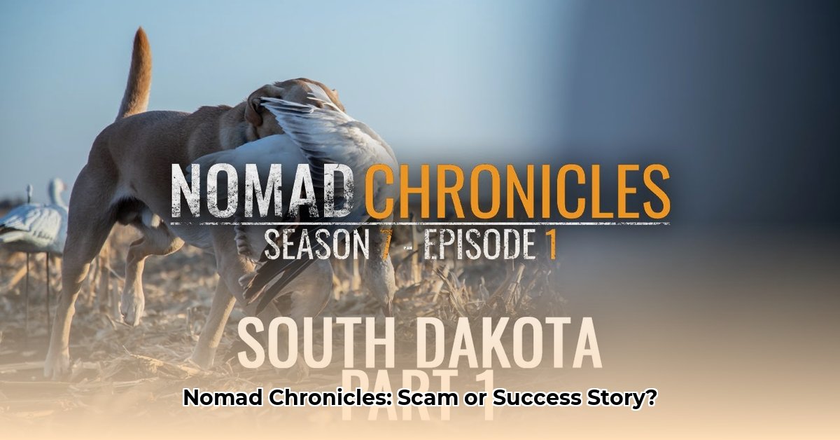 nomad-chronicles-company